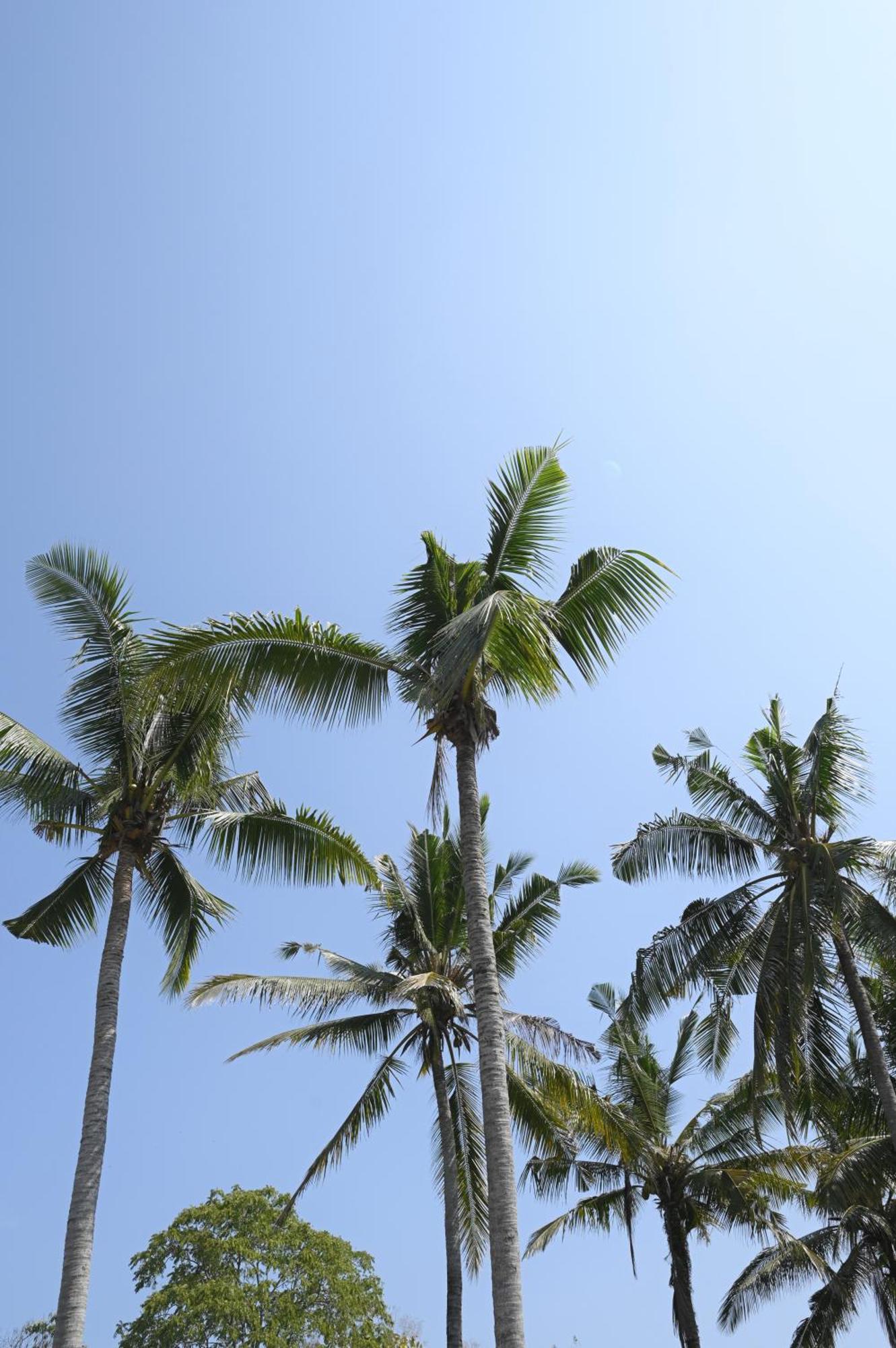Sanava Balian Bed and Breakfast Buitenkant foto